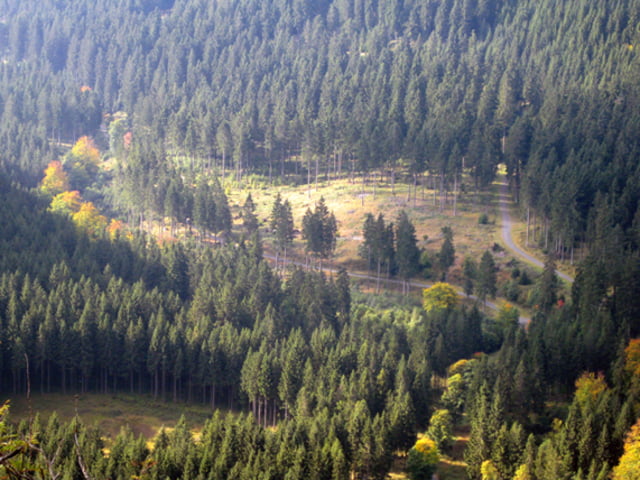 Braunlage im Harz Hahnenkleeklippen
