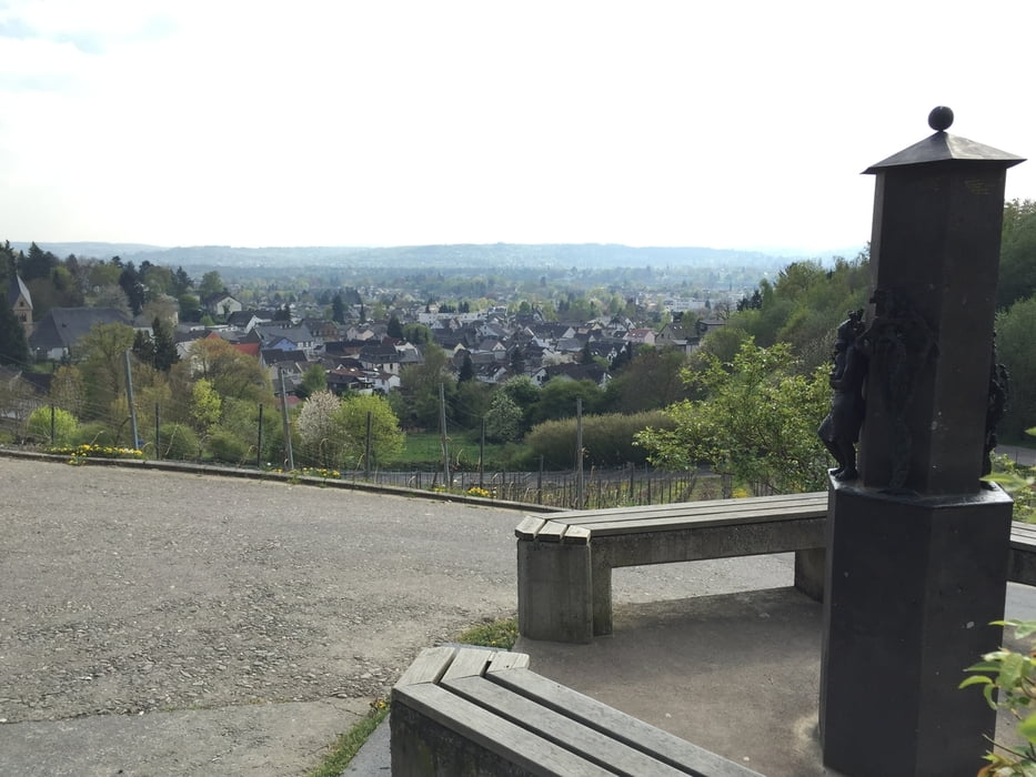 Durch die Weinberge bei Oberdollendorf