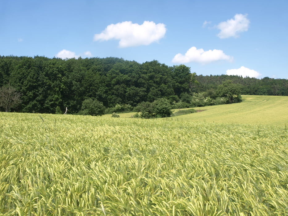 Erlebnislandschaft Erdekaut