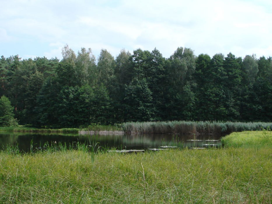 163) Frankfurt - Rotfließsee - Müllrose - Frankfurt