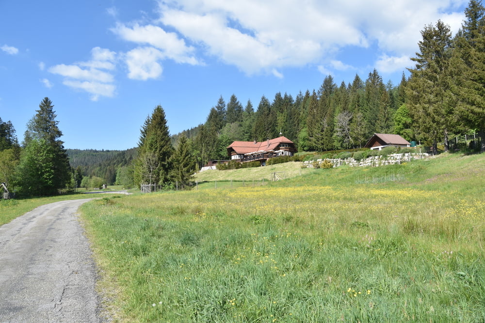 Buhlbach-Schliffkopf-Kappelrodeck-Ruhestein-Schönmünzach
