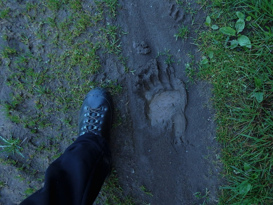 21/2019.Rudná Poľana