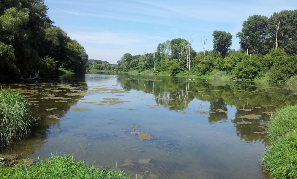 Donauradweg