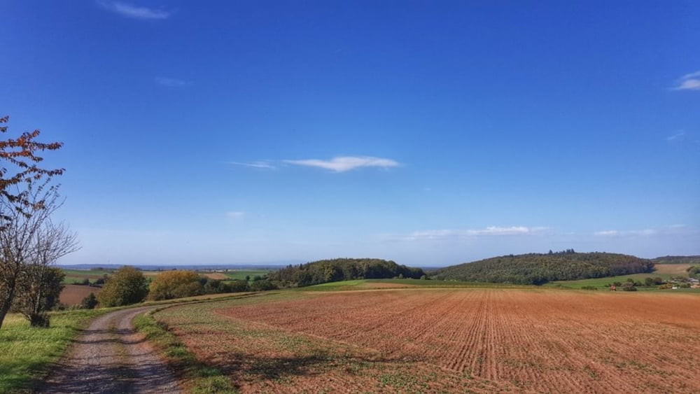 Zwischen Wiebelsbach und Heubach