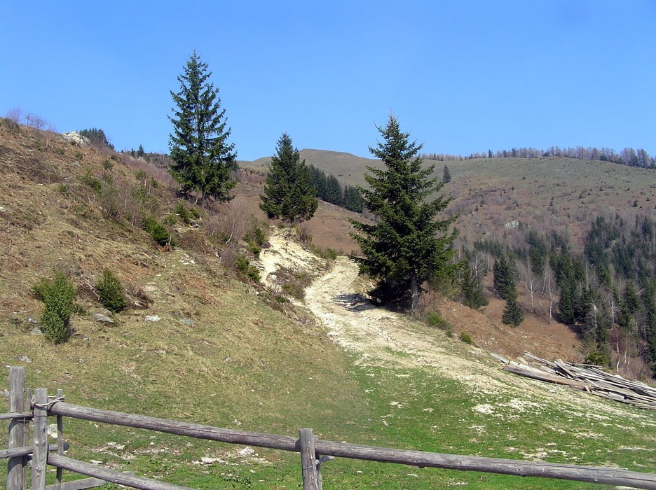 Lepenatka 