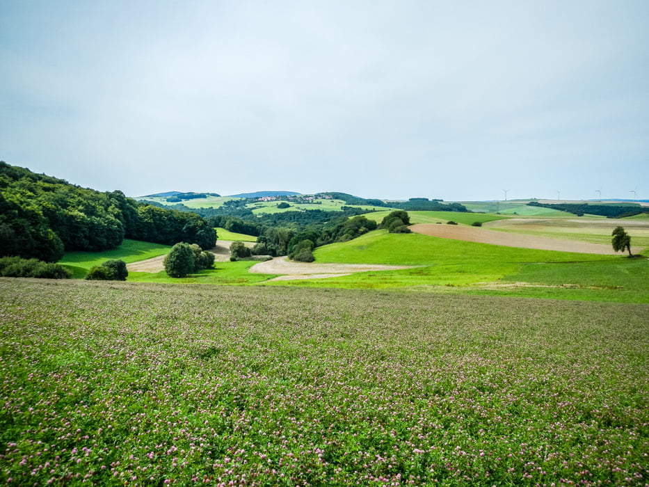 Von Weierbach durch die Alte Welt