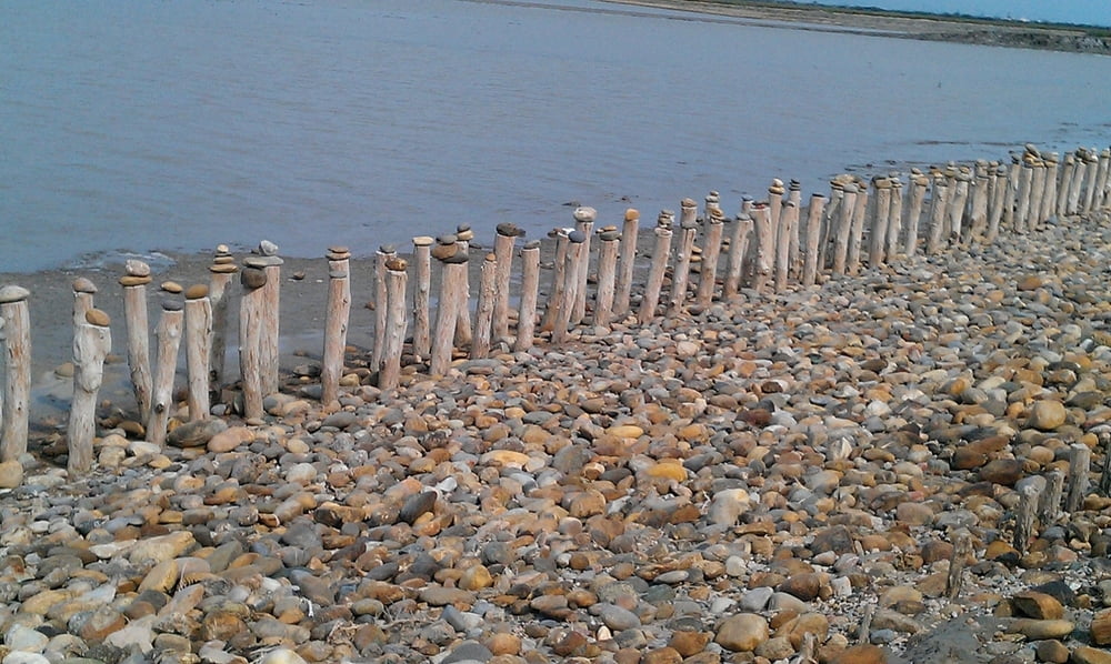 Camargue