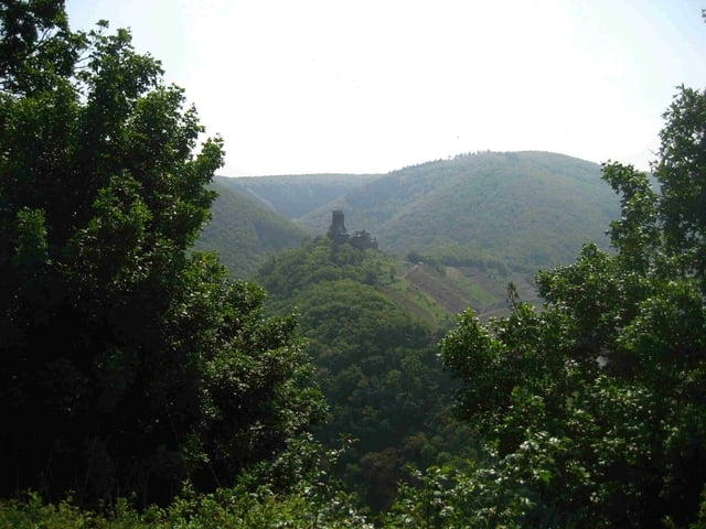 Traumpfad Brodenbach - Oberfell - Brodenbach