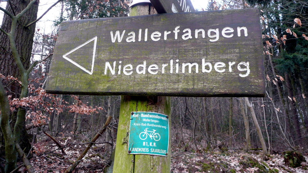 Wandern am Oberlimberg (Treppsborn)