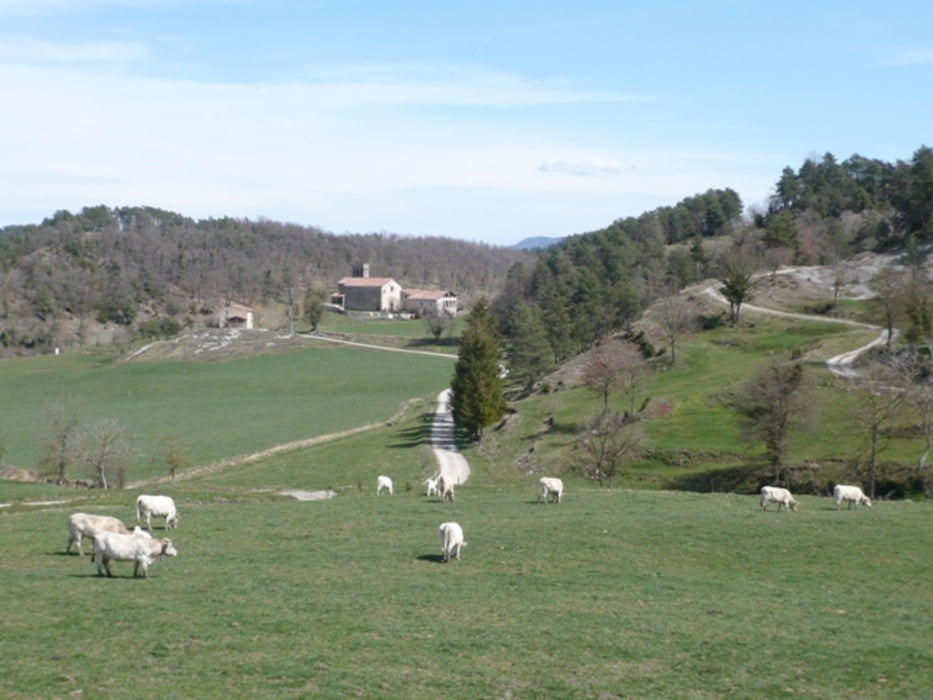 VIC-RIPOLL