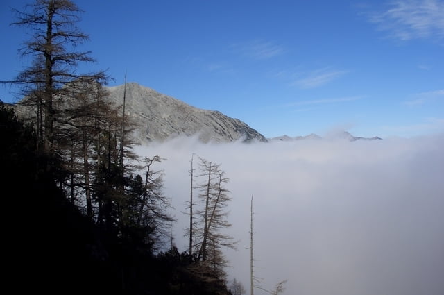 Salzsteig
