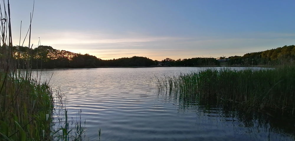 380. Kleine Rundwanderung um den Peetzigsee und Burgsee 