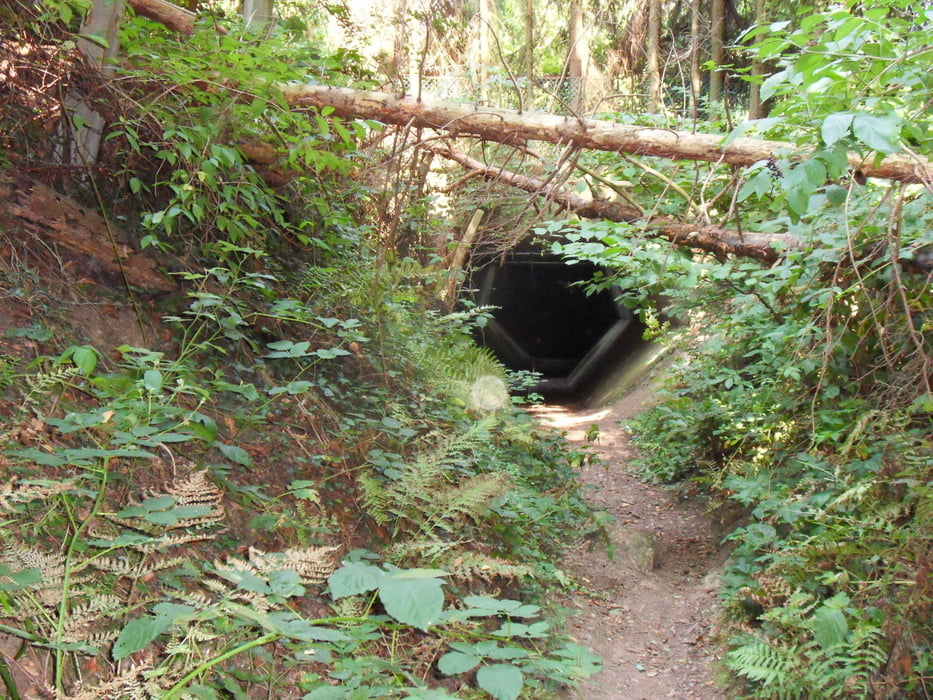 Große Kottenforstrunde
