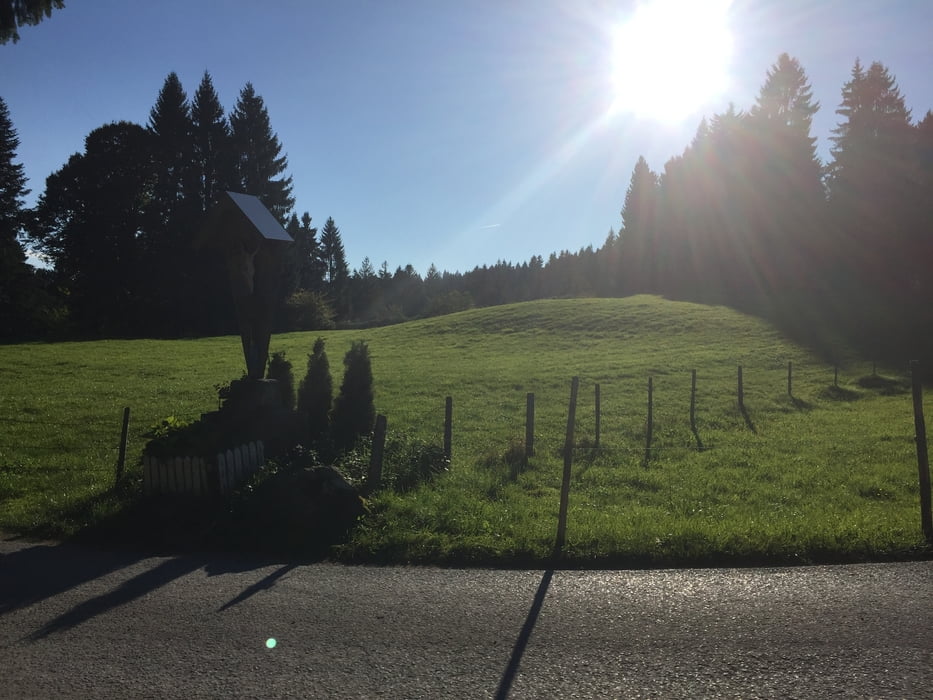 Wolfurt - Kennelbach - Wirtatobel - Fluh - Bregenz 