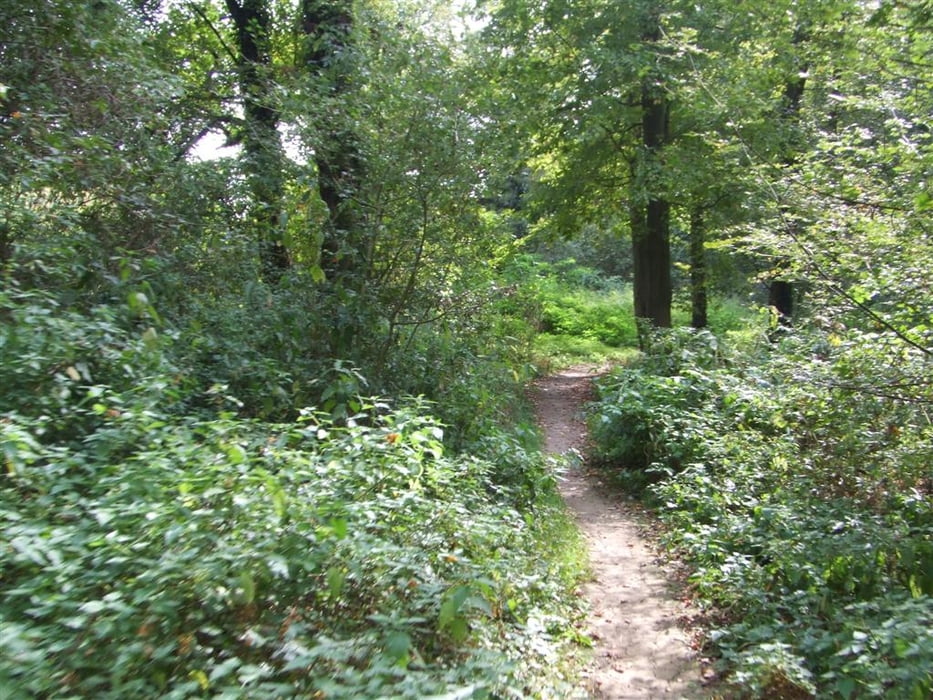 Trails um Würzburg