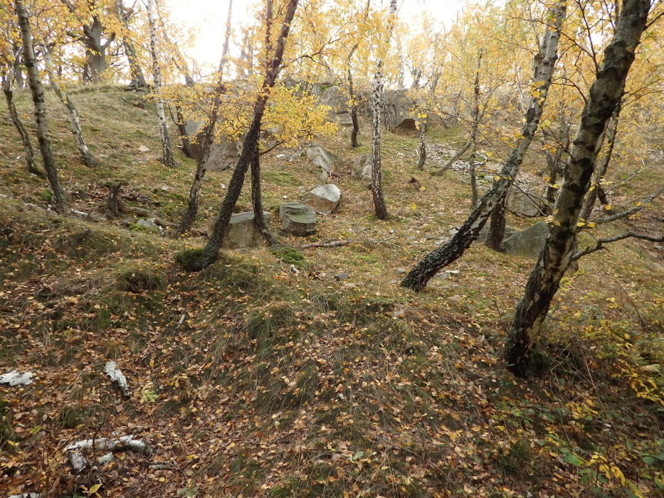 28/2018.Leveš-Topoľnica-Skalka-Hôrka-Zadné Topoľčnianky