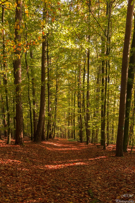 Castell-Friedrichsberg-Greuth-Castell