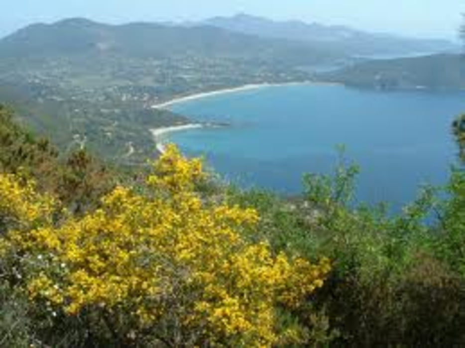 trail run monte tambone
