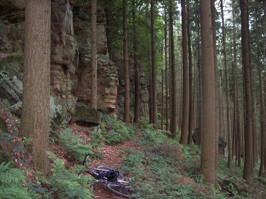 Rundtour Bollendorf-Felsenpfad-Liborius-Fahnenstange