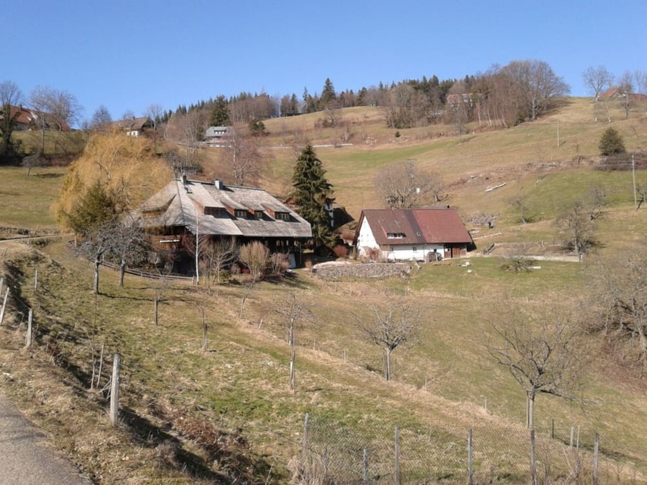 Geiersnest (Schwarzwald Panorama) TOLL!