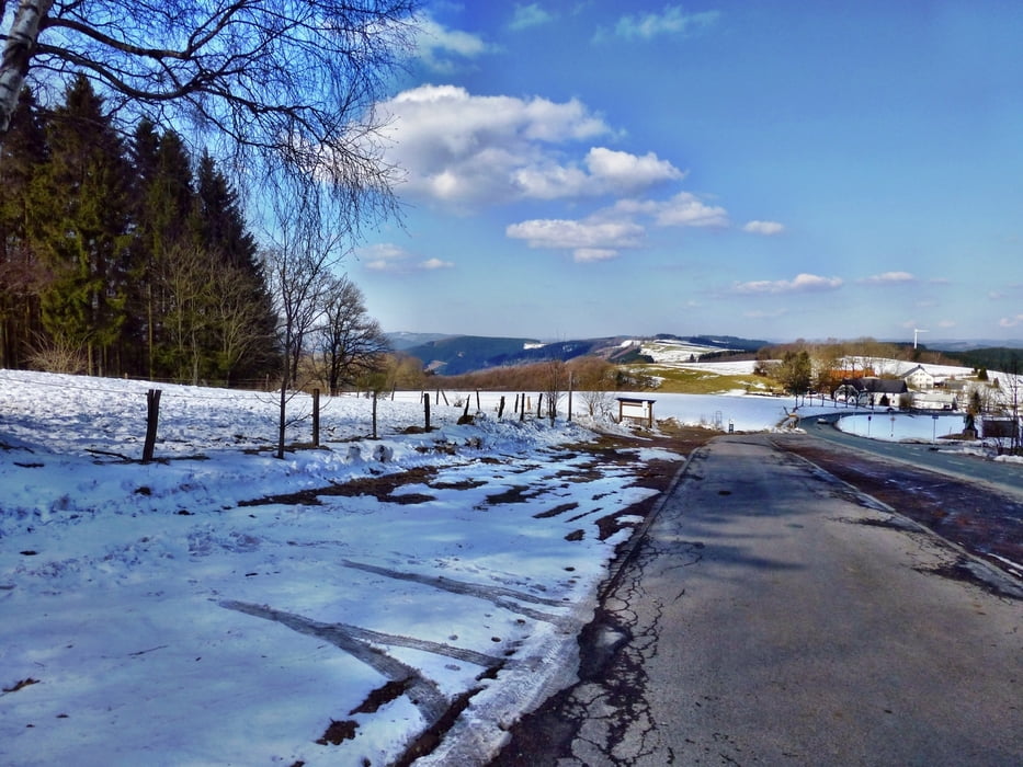 Wildewiese-Faulebutter und retour