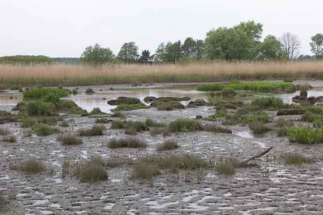Wümme - Rundtour