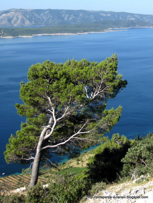 Zmajeva špilja