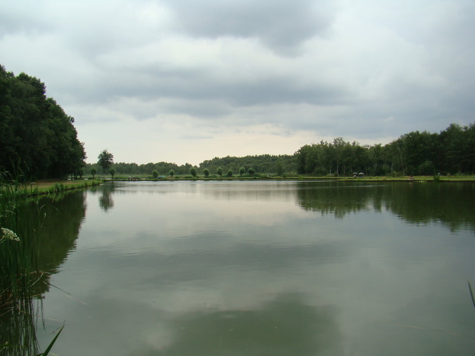 begijnenvijvers 