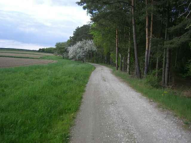 Leitersdorfer-Radweg (R 34) - Bad Waltersdorf
