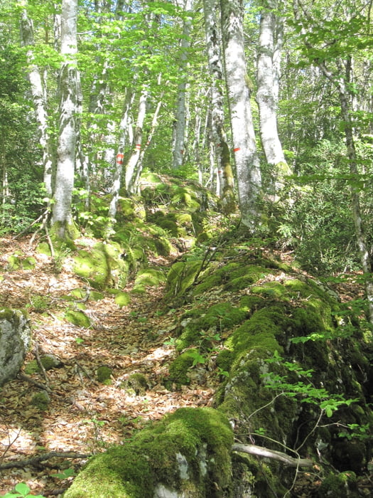 Drôme- St Martin en Vercors Pas Allier 