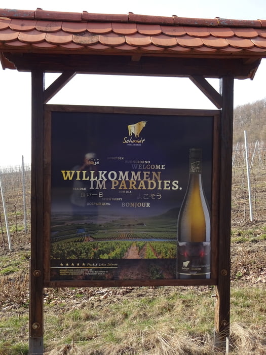 Im Bullenheimer Paradies
