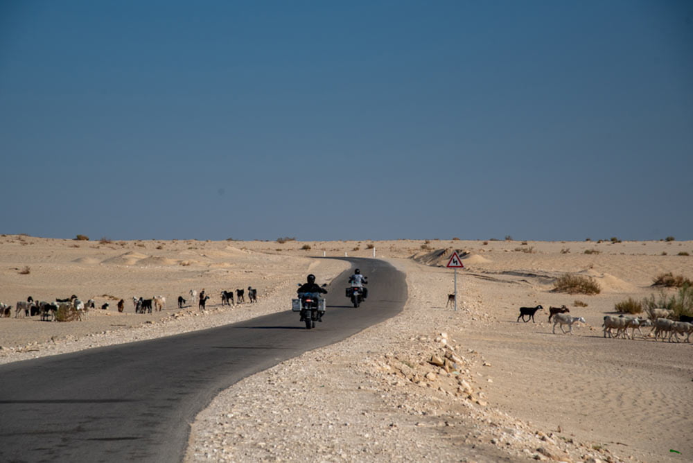 Motorrad-Rundreise durch Tunesien