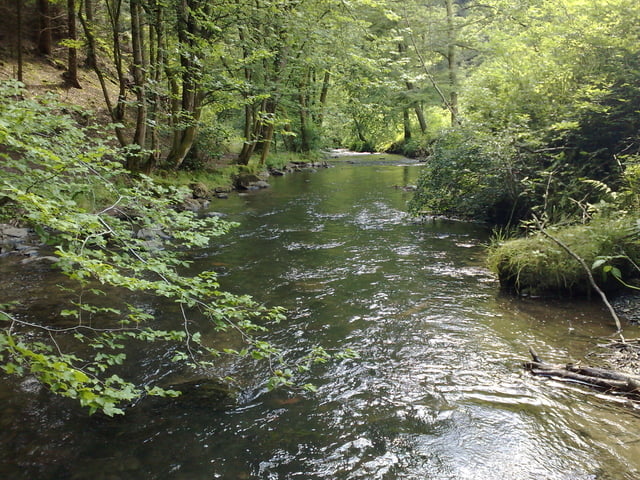 Trails rund um Leverkusen 1