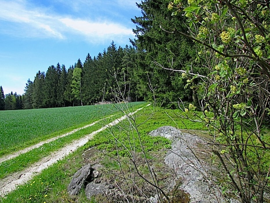 ZWalk - Waldviertler Vier-Märkte-Weg 612 (Arbesbach - Groß Gerungs)