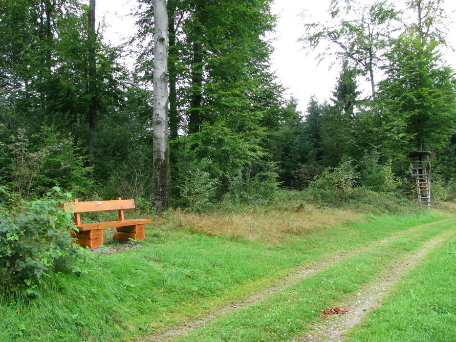 Felsenrunde Oberkirch