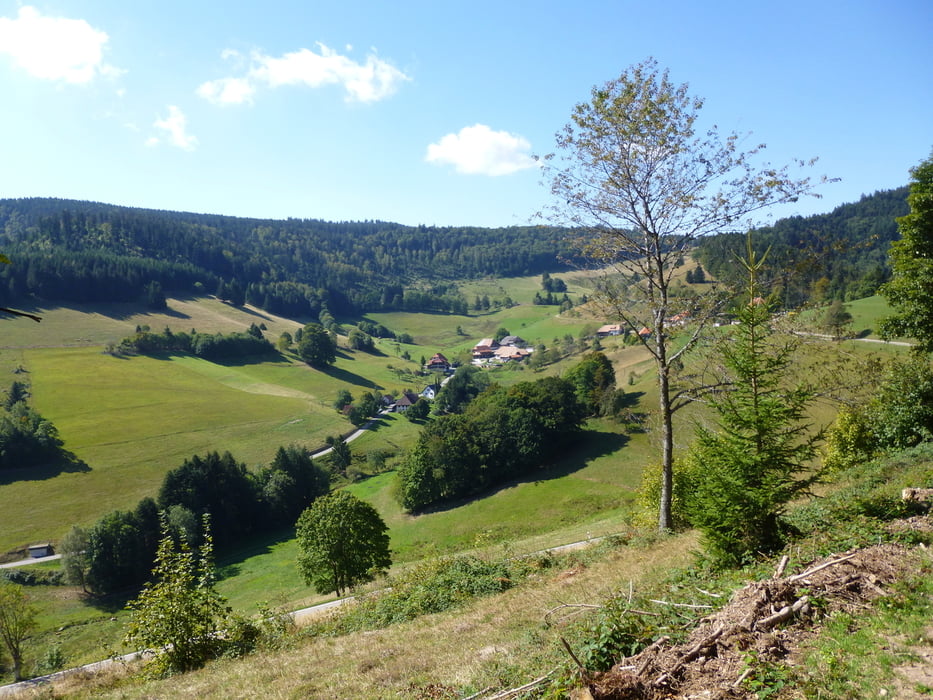 Transschwarzwald Süd-Nord