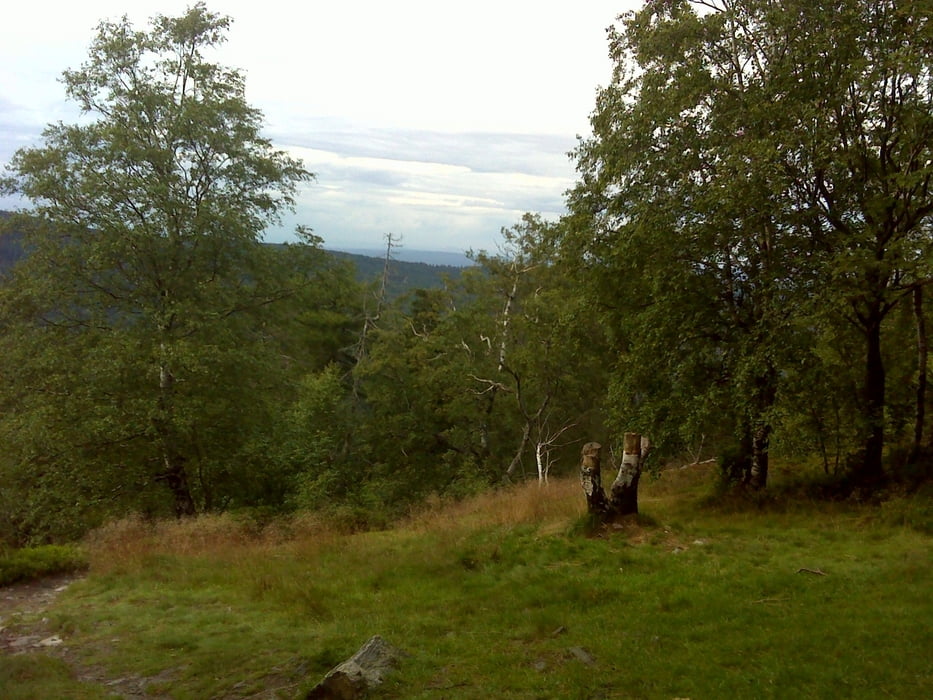 Freidaach.de-Tour_120720