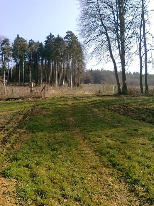 Wetterfelder Steige - Grünberg Trails