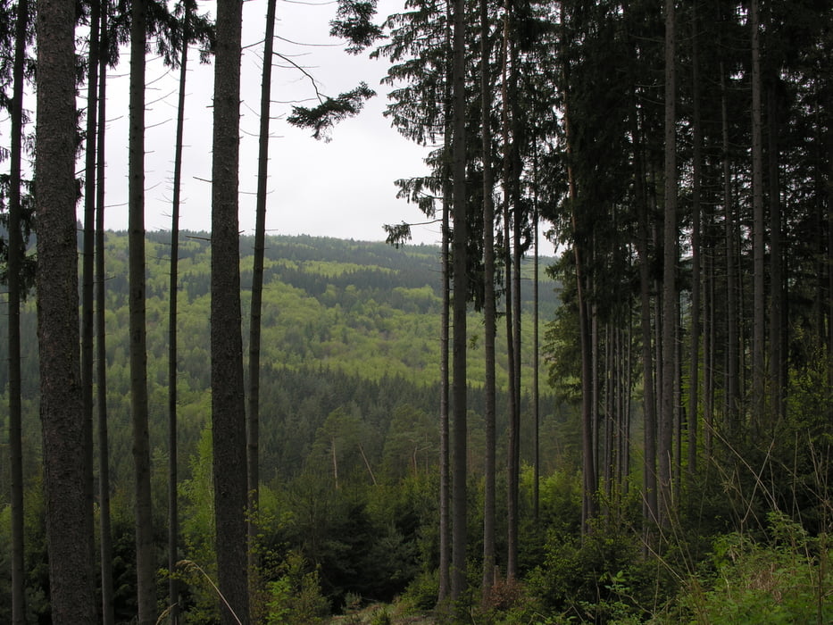 Espa-Cleeberg-Oberkleen-Cleeberg-Espa