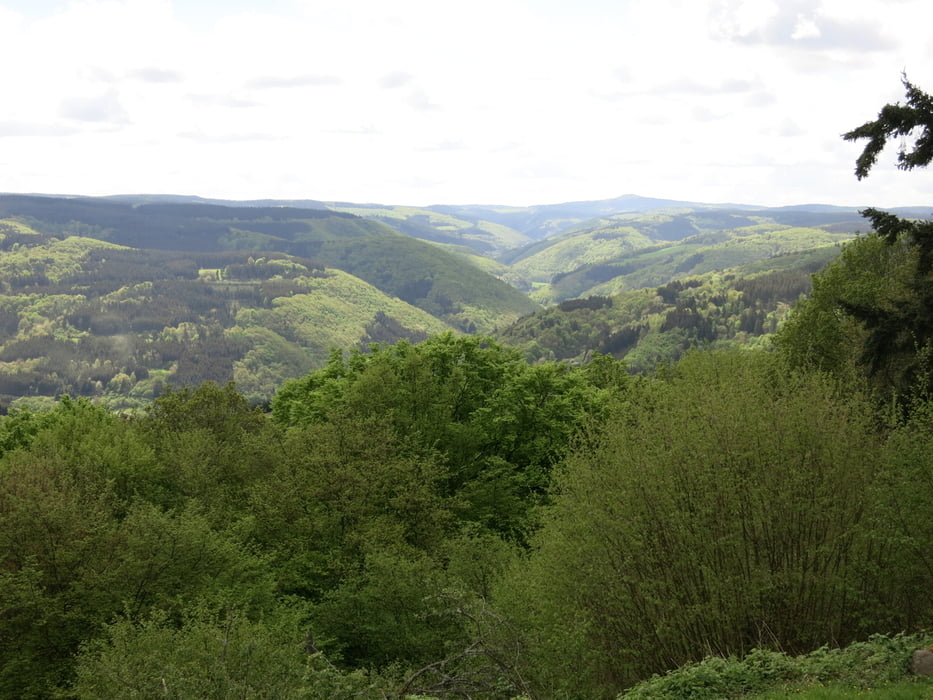 von Kesseling auf den Steinerberg