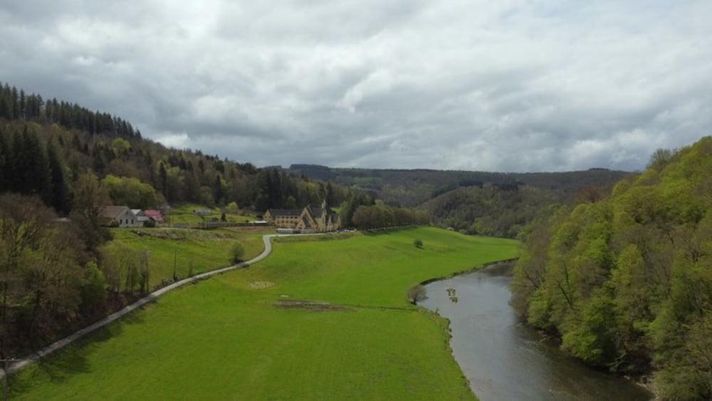 Bouillon