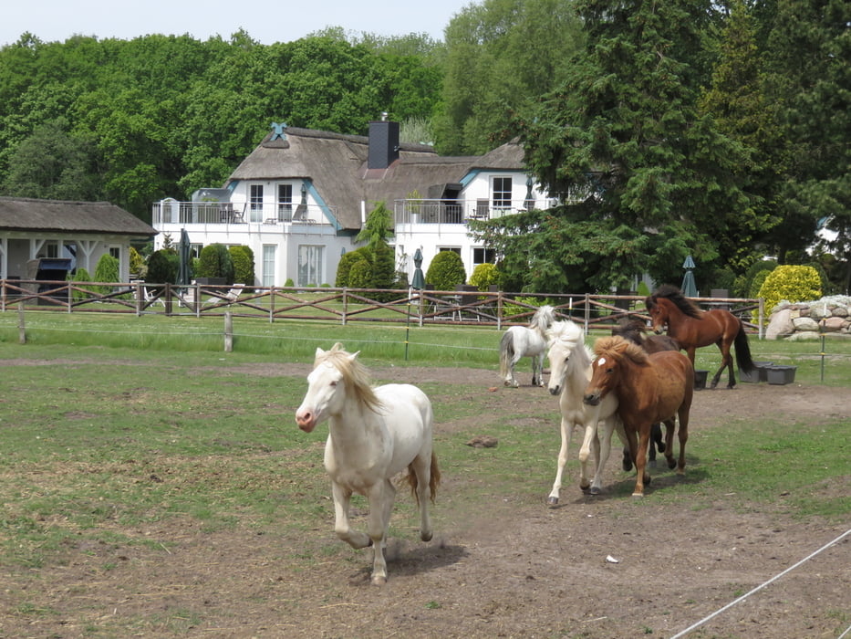 Auf der Schaabe
