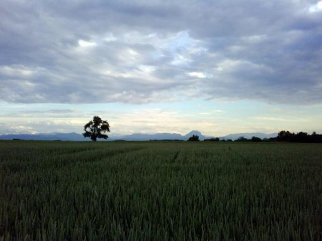 Thalheim Ottstorf Runde