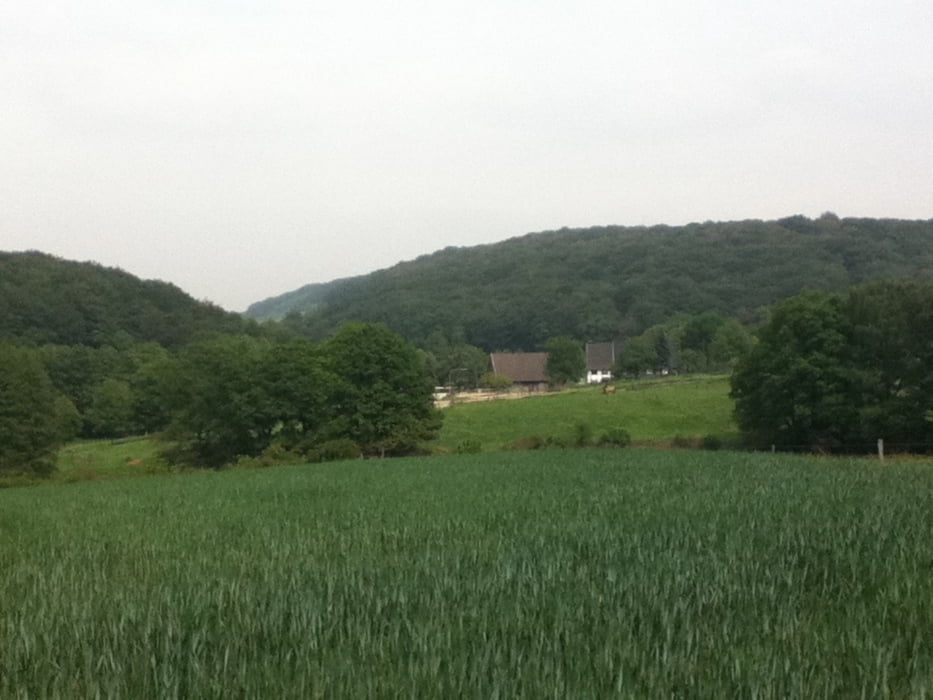 Rundweg durch´s Deilbachtal