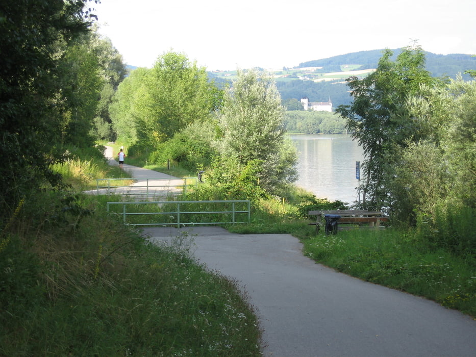 Oberbank Donaulauf Ottensheim-Halbmarathon