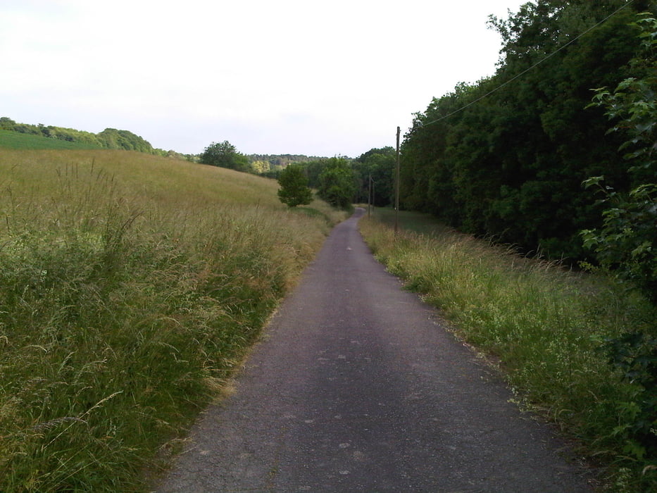 150610-Tagesrunde