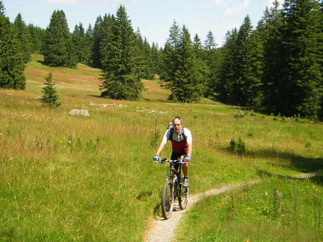 Von Todtnau-Muggenbrunn zum Schluchsee
