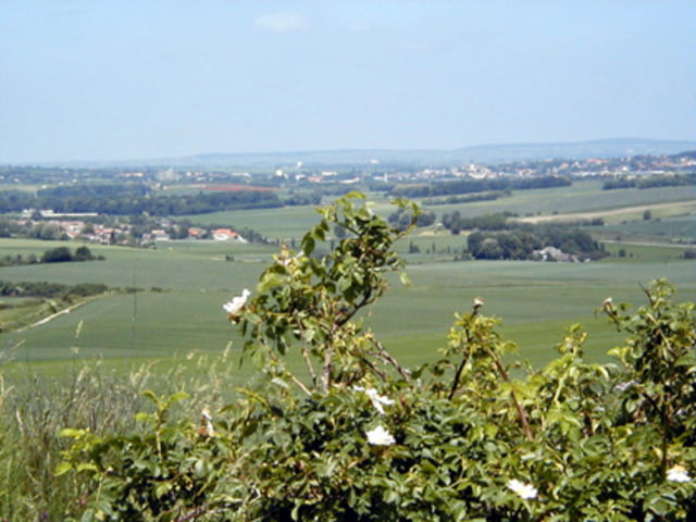 Durch das Göllersbachtal von Hollabrunn nach Wien