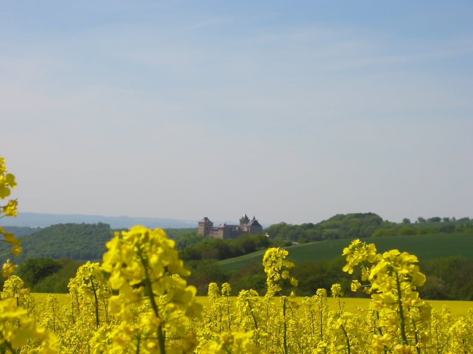 Tour zur Burg Malbruck