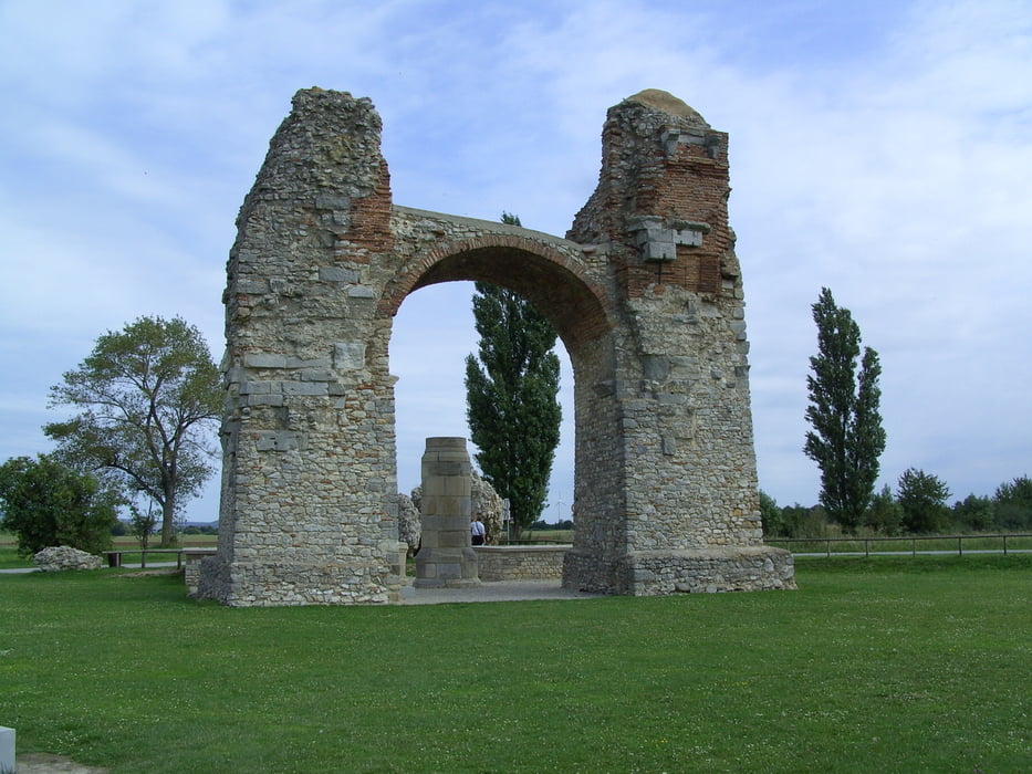 Rundfahrt in der Weinbauregion Carnuntum
